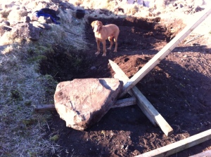 The second rock levered out with deer posts - it took us over an hour to remove it