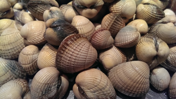 cockles 2