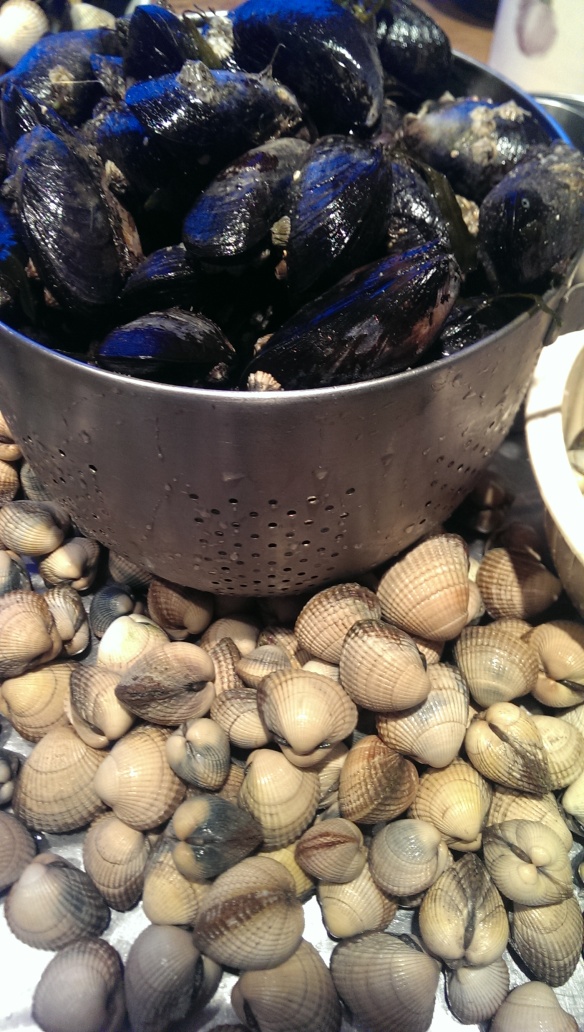 cockles and mussels